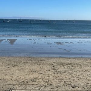 Meet your Posher, Shane